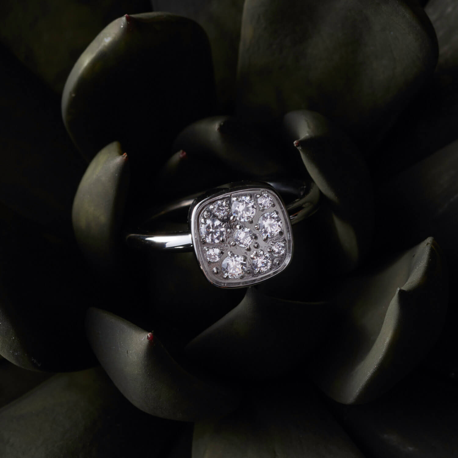 Ring 18 Cuscino brillante