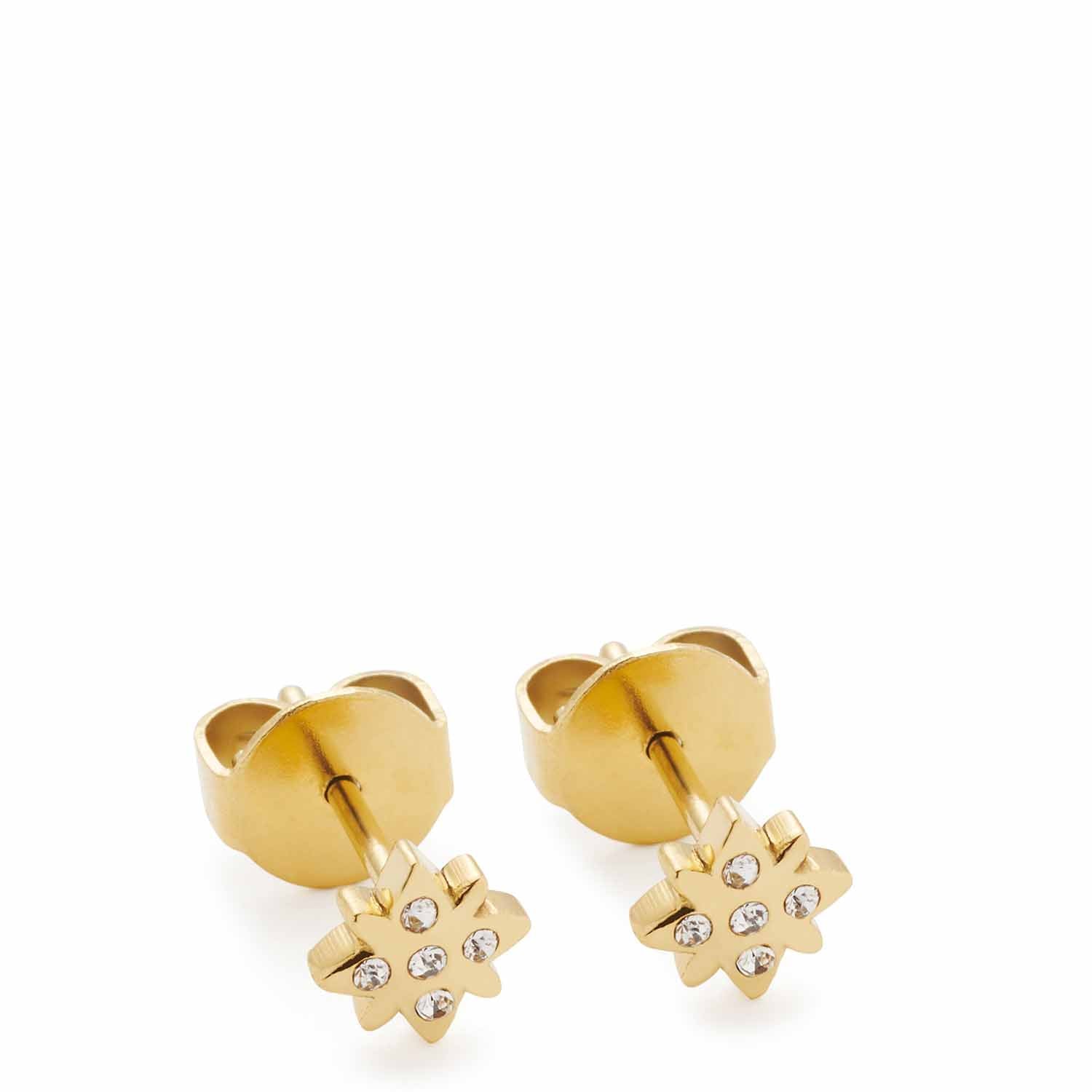 Ohrstecker CAMPAGNOLA gold CIAO