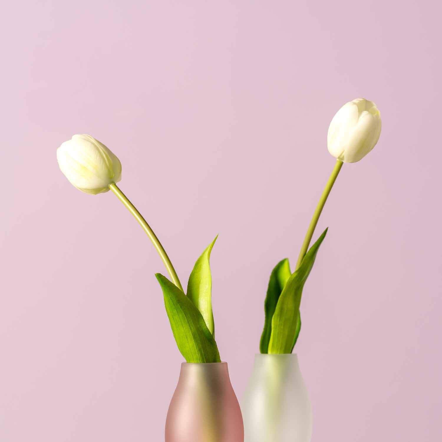 Tulpe FIORE 40 cm weiß