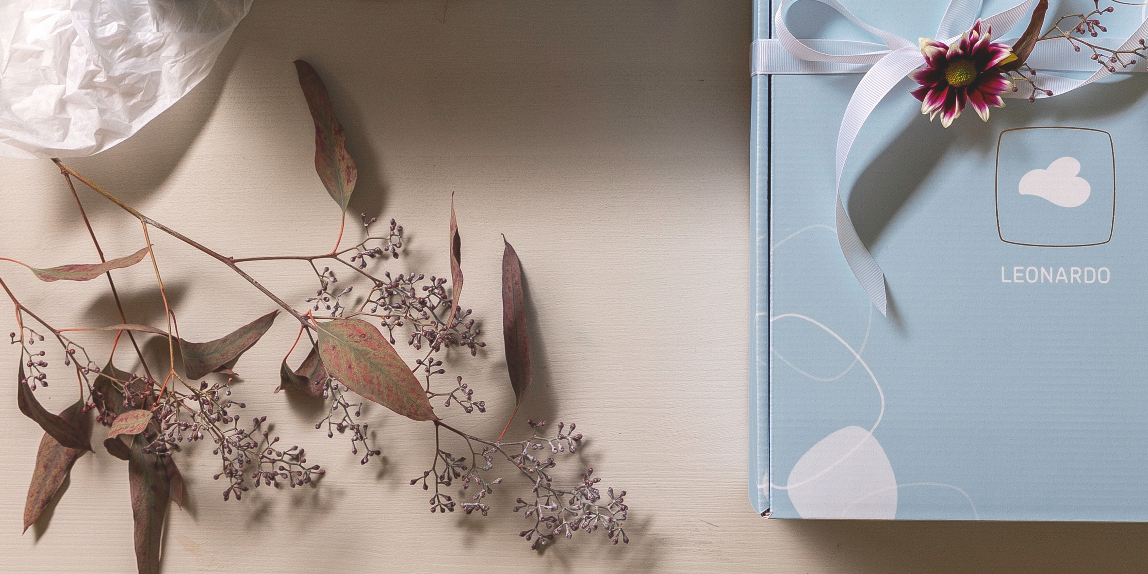 Hellblaue LEONARDO-Geschenkbox mit weißer Schleife und Blume auf hellem Tisch