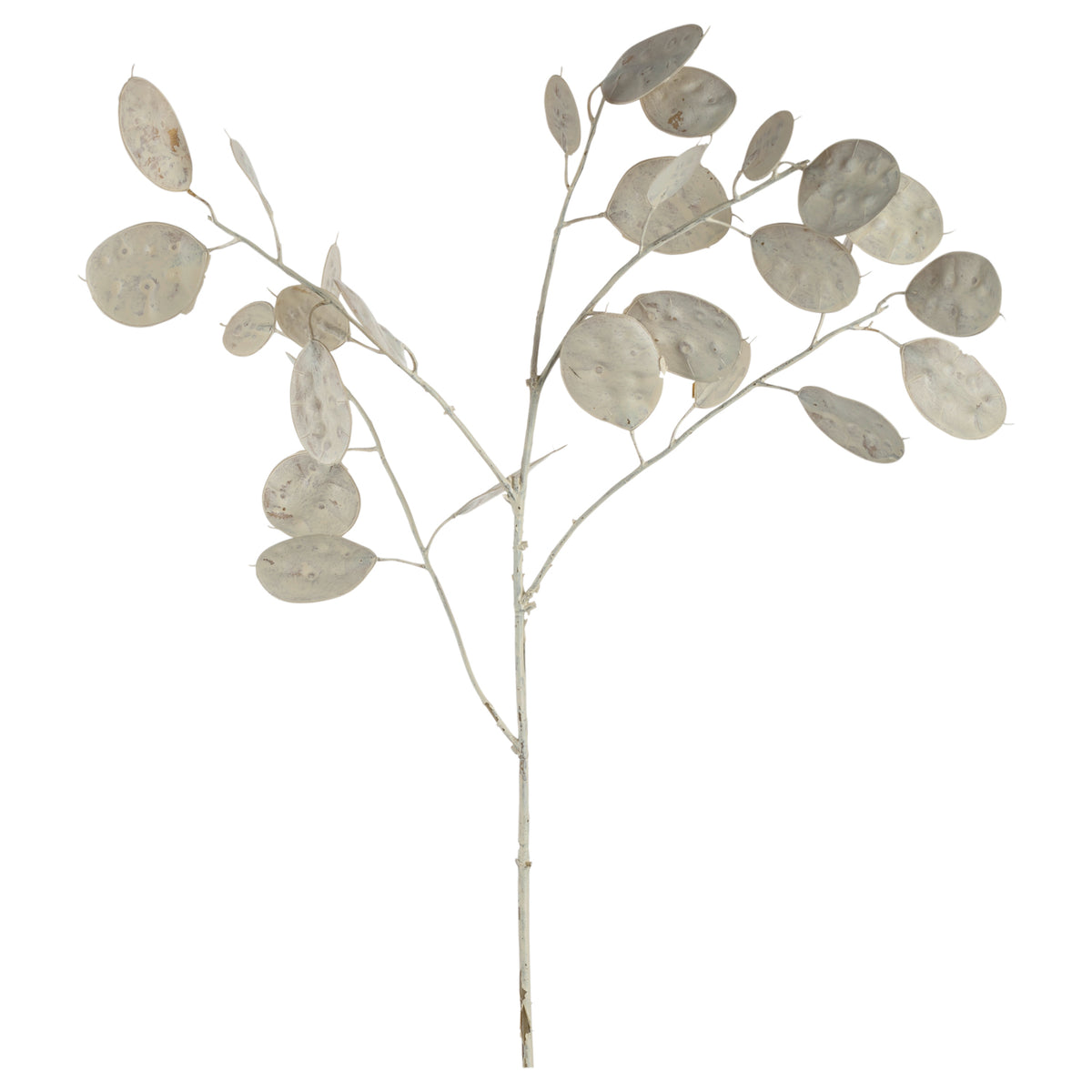 Silber-Dollar-Pflanze POESIA 86 cm weiß