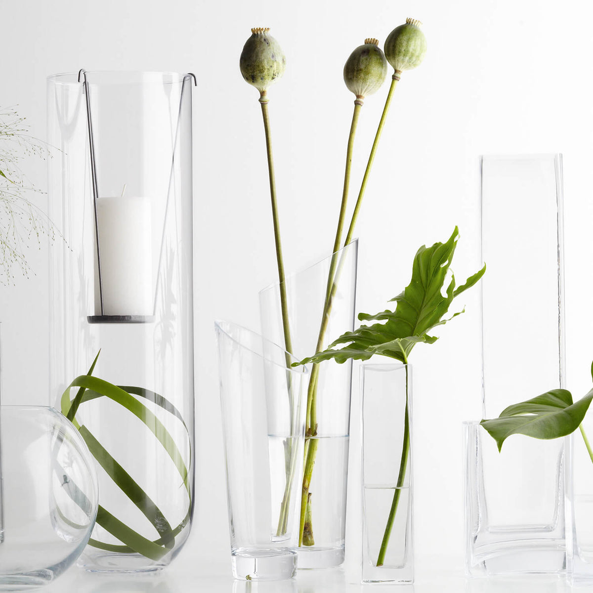 Verschiedene klare Glasvasen mit grünen Blüten und Blättern arrangiert