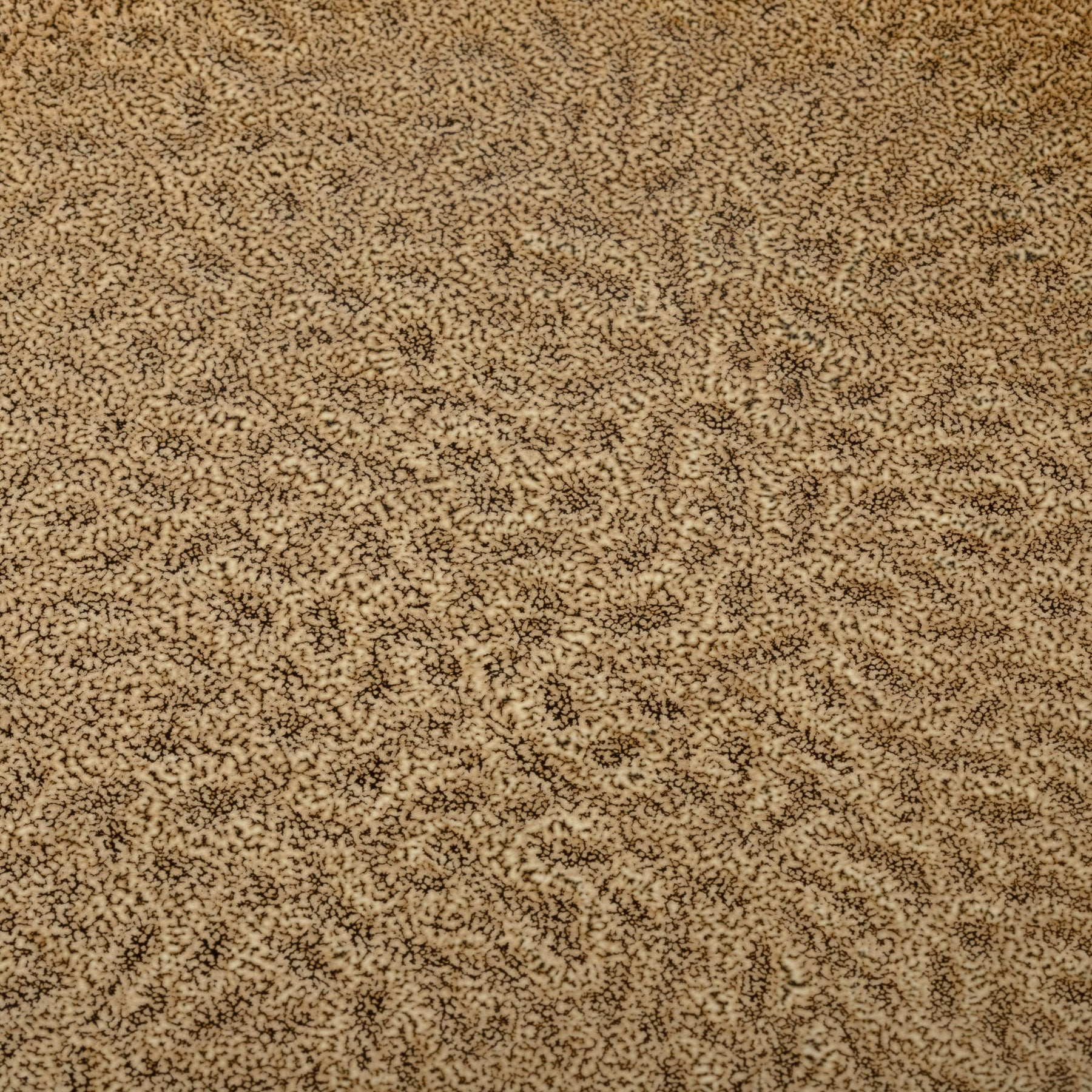 Keramikteller MATERA 27 cm beige 6er-Set