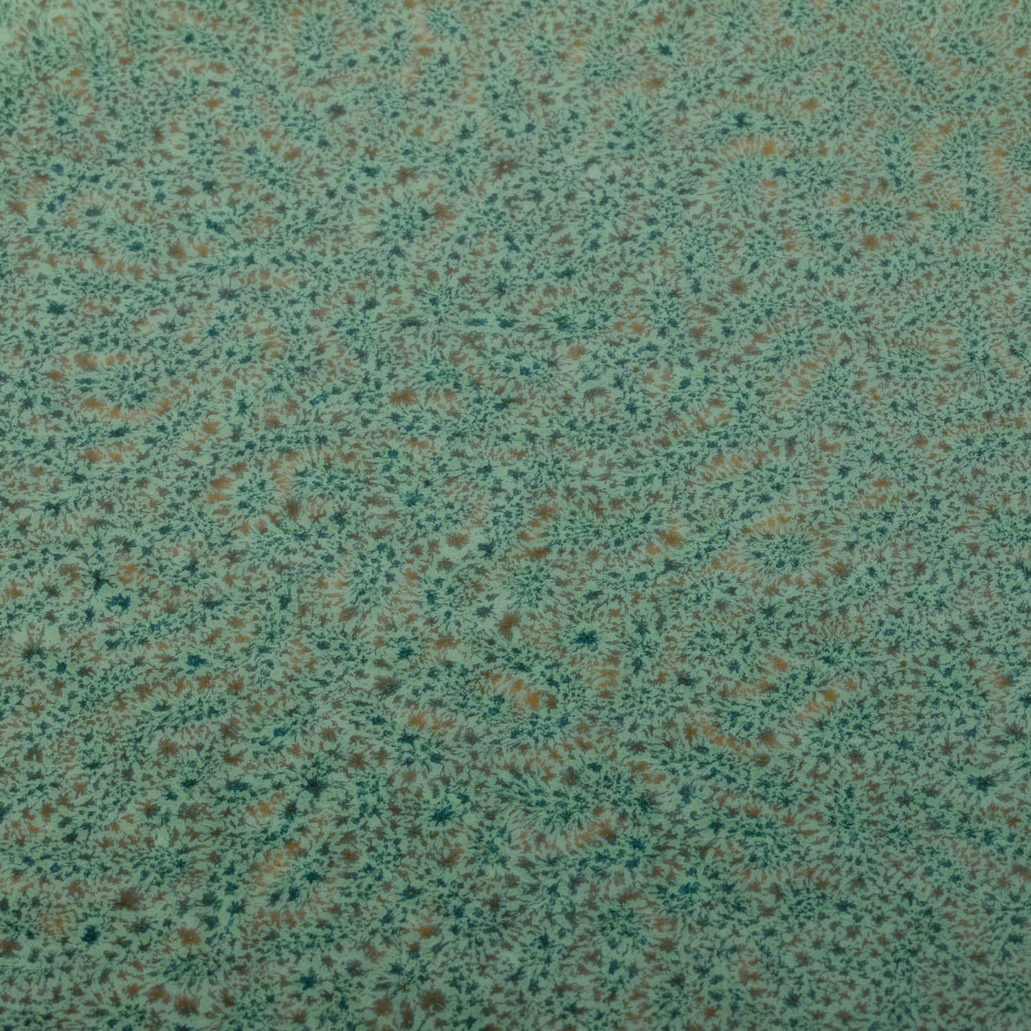 Keramikteller MATERA 27 cm grün 6er-Set