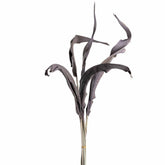 Strelizienblätter FIORE 80 cm taupe 5er-Set