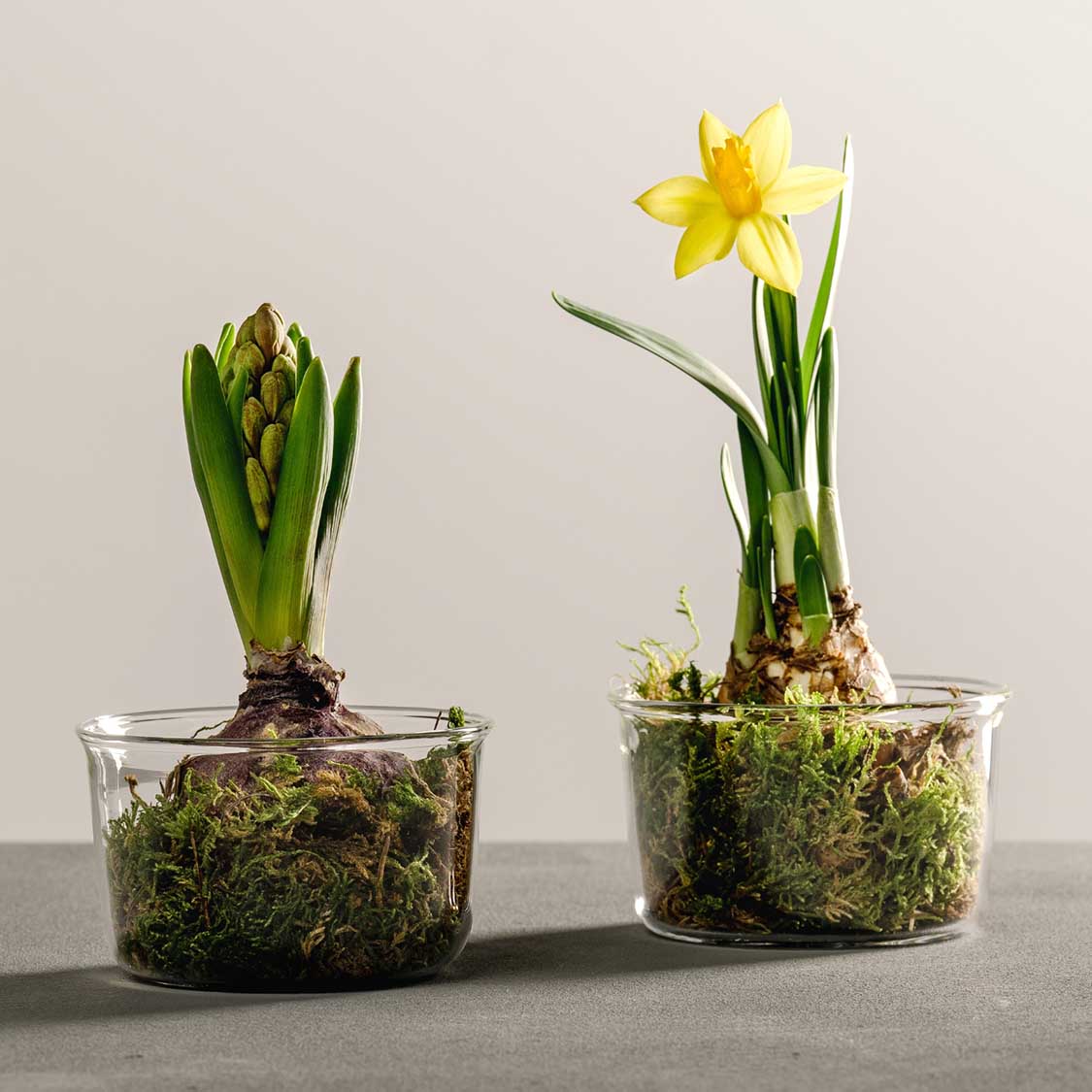 Schale VETRO 9 cm 2er-Set + 2 Eislöffel