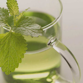 Teeglas NOVO 360 ml 6er-Set