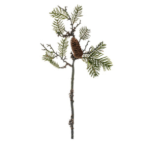 Pinienzweig 56cm AUTENTICO
