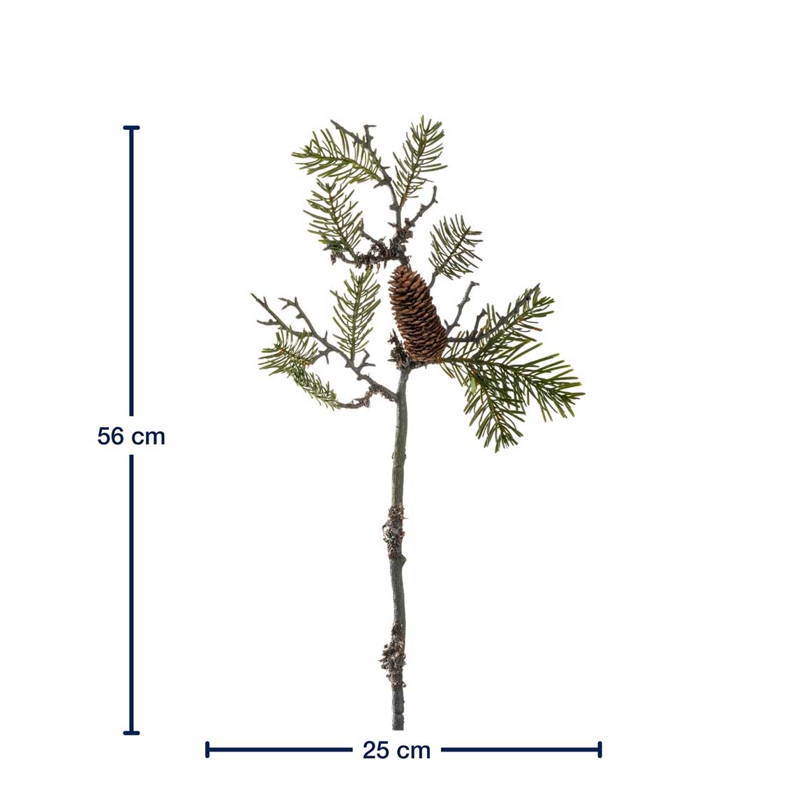 Pinienzweig 56cm AUTENTICO