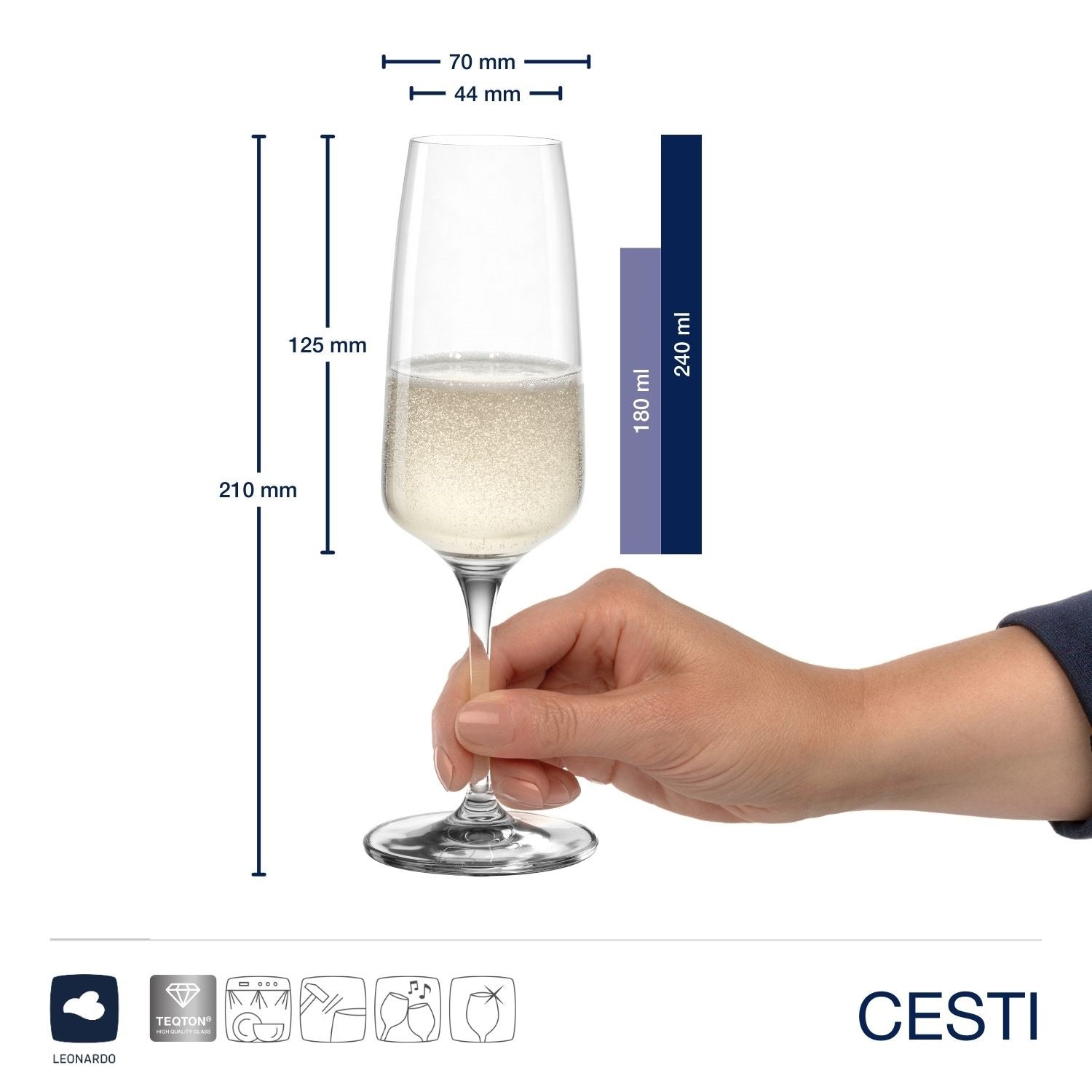 Sektglas CESTI 240 ml 6er-Set + Poliertuch – LEONARDO
