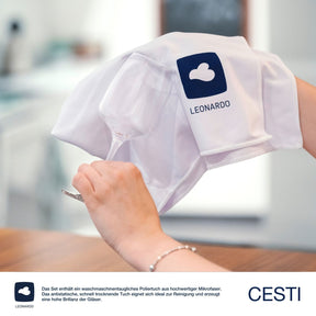 Rieslingglas CESTI 280 ml 6er-Set + Poliertuch