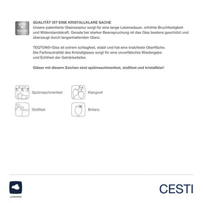 Rieslingglas CESTI 280 ml 6er-Set + Poliertuch