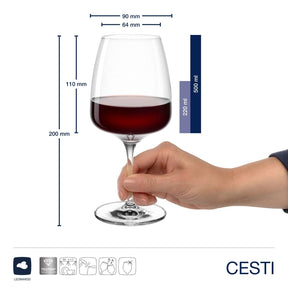 Glasset CESTI 8-teilig + Poliertuch