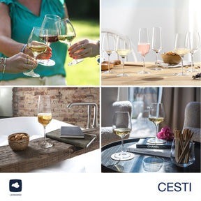 Kelchglasset CESTI 12-teilig + Poliertuch