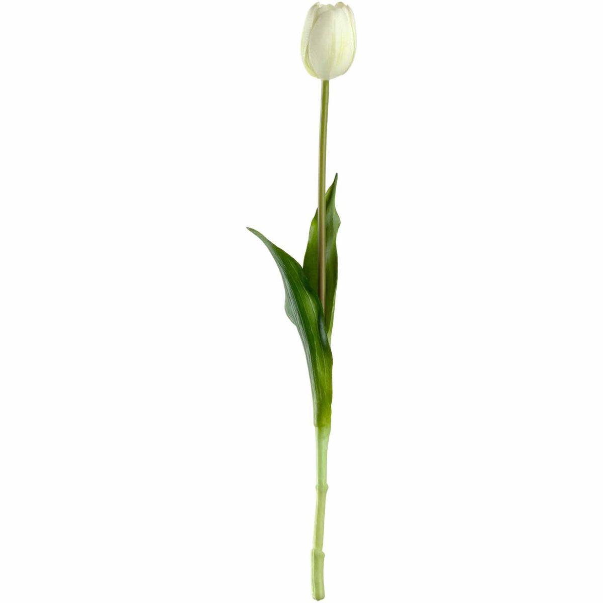 Tulpe FIORE 40 cm weiß