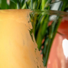 Vase CIPRIA DUE 26 cm apricot/lachs