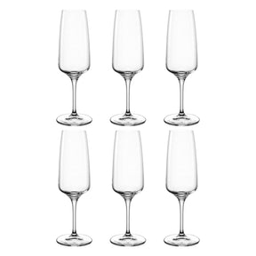 Sektglas 240 ml CESTI 6er-Set