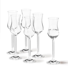 Grappaglas DAILY 100 ml 6er-Set