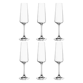 Sektglas PALADINO 220 ml 6er-Set