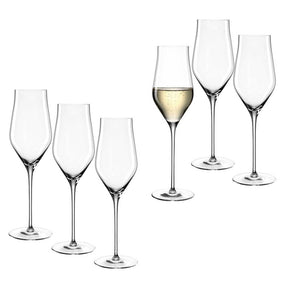 Champagnerglas BRUNELLI 340 ml 6er-Set