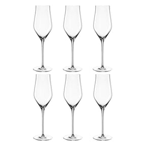 Champagnerglas BRUNELLI 340 ml 6er-Set