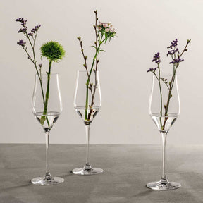 Champagnerglas BRUNELLI 340 ml 6er-Set