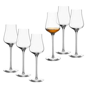 Grappaglas BRUNELLI 210 ml 6er-Set