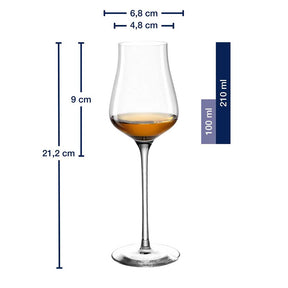 Grappaglas BRUNELLI 210 ml 6er-Set