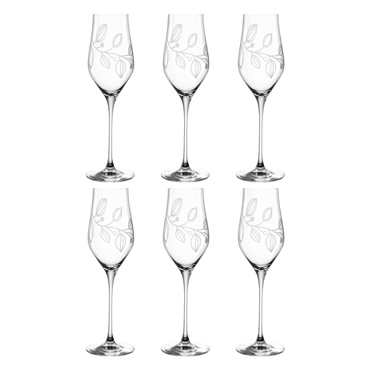 Champagnerglas BOCCIO 340ml 6er-Set