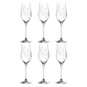Champagnerglas BOCCIO 340ml 6er-Set