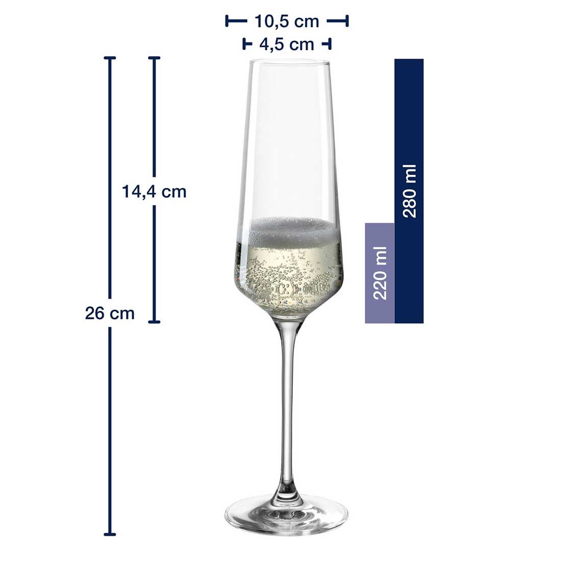 PUCCINI Bundle Sektglas 280 ml & Weißweinglas 560 ml 12er-Set