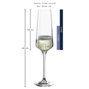 Sektglas PUCCINI 280 ml 6er-Set