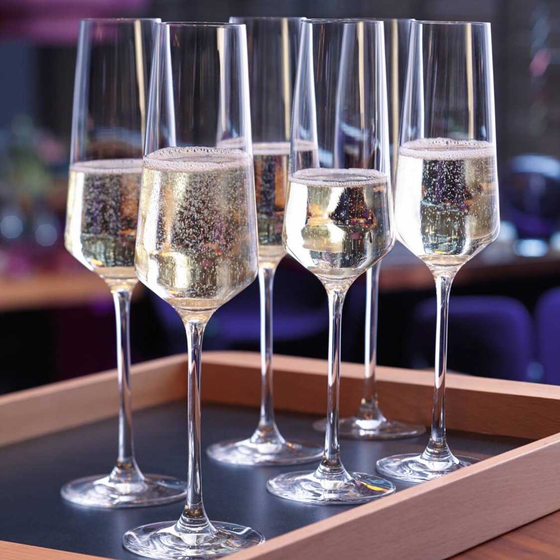 Sektglas PUCCINI 280 ml 6er-Set