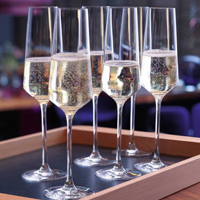 Sektglas PUCCINI 280 ml 6er-Set