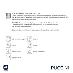 Sektglas PUCCINI 280 ml gold 2er-Set