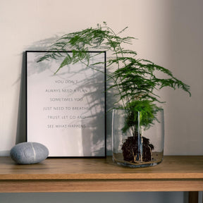 Vase PIETRA mit Pflanze auf Holzregal neben Bild und Stein