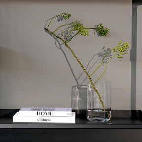 Vase PIETRA mit grünen Pflanzen gefüllt, neben Bücherstapel auf schwarzem Regal