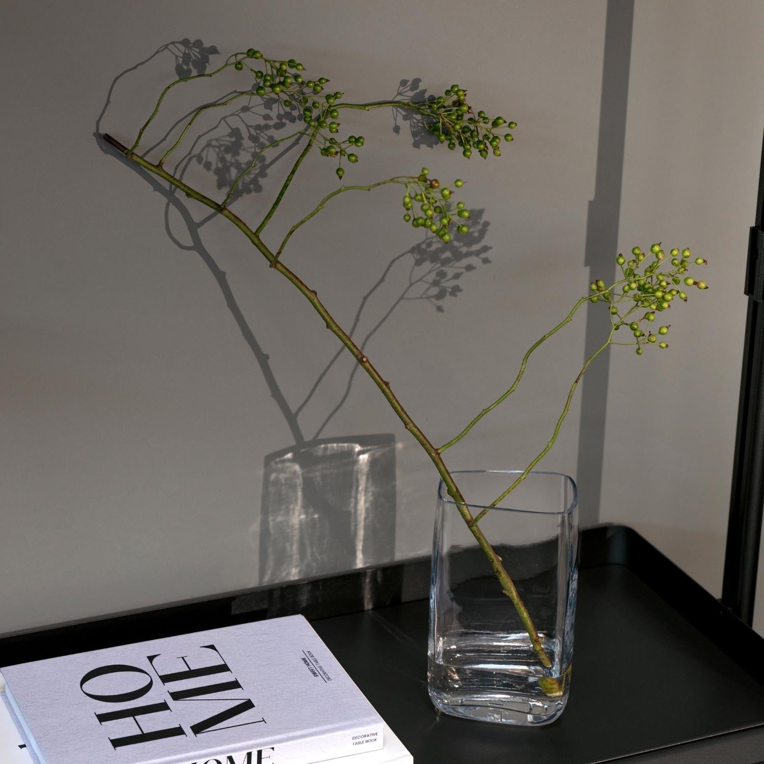Vase PIETRA mit grünen Pflanzen auf schwarzem Tisch, daneben Magazine