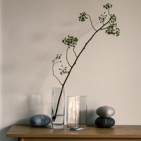 Vase PIETRA mit Grünpflanze auf Holztisch, daneben Steine und Gläser