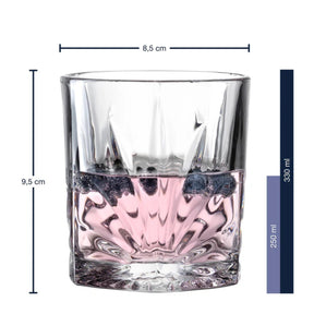 Whiskybecher DOF CAPRI 330 ml 2er-Set mit 8 Kühlsteinen