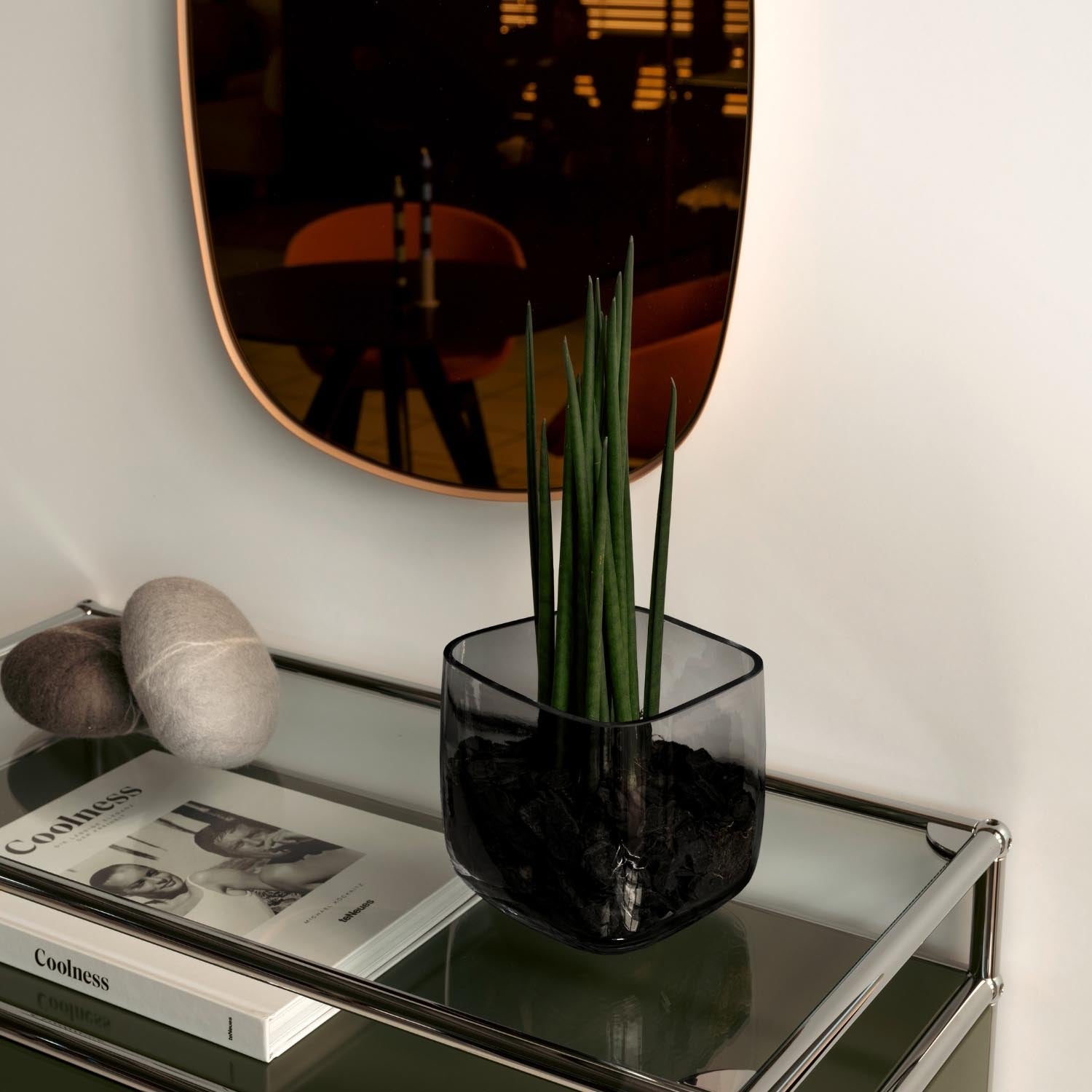 Graue Vase PIETRA mit grünen Pflanzen auf Sideboard in Wohnraum