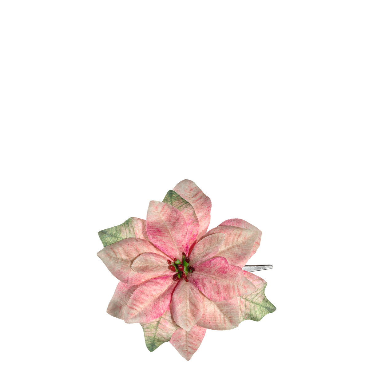 Weihnachtssternblüte CALDO rosé mit Clip