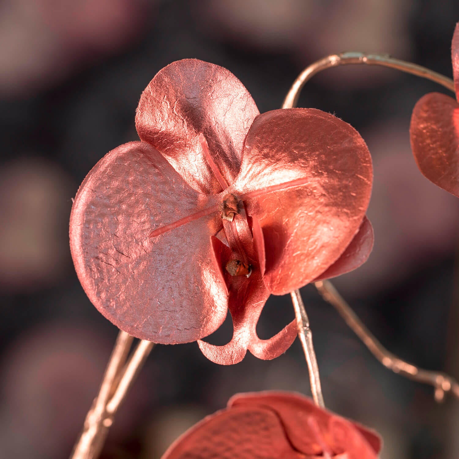 Orchidee ORNARE 85 cm rosé
